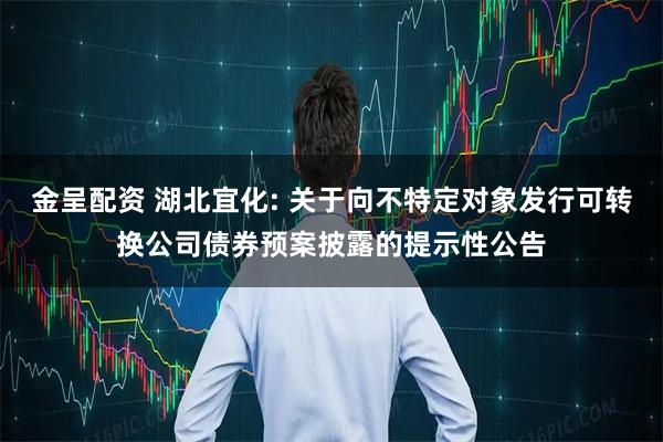金呈配资 湖北宜化: 关于向不特定对象发行可转换公司债券预案披露的提示性公告