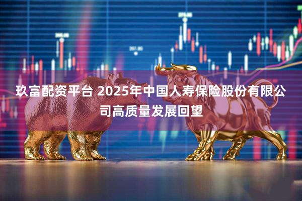 玖富配资平台 2025年中国人寿保险股份有限公司高质量发展回望