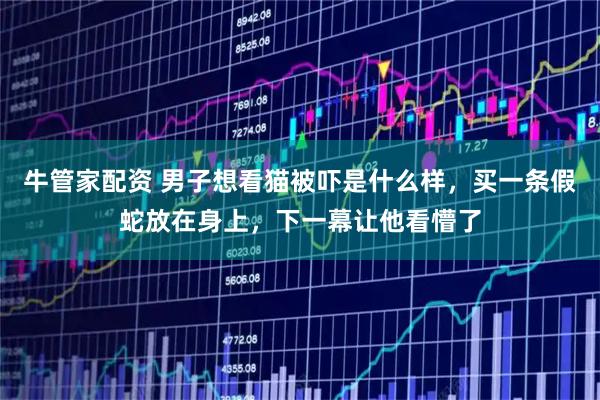 牛管家配资 男子想看猫被吓是什么样，买一条假蛇放在身上，下一幕让他看懵了